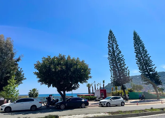 Lägenhet Sa Apartments! Cleopatra Beachfront 2bd *